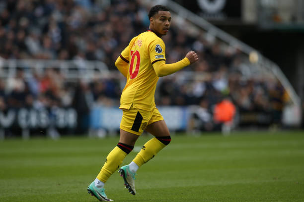 学校的职责 学校的职责